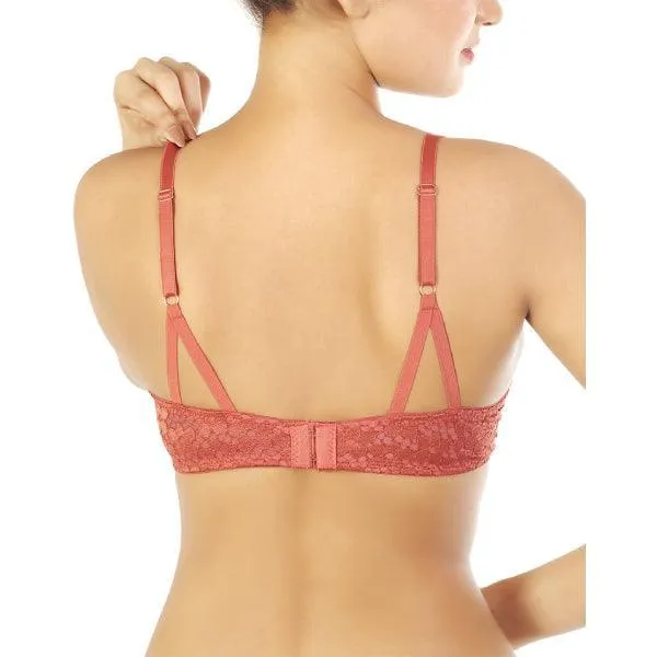 Lace Bras Pack Of 2 | Padded Bras | Fancy Bras For Women Online In Pakistan