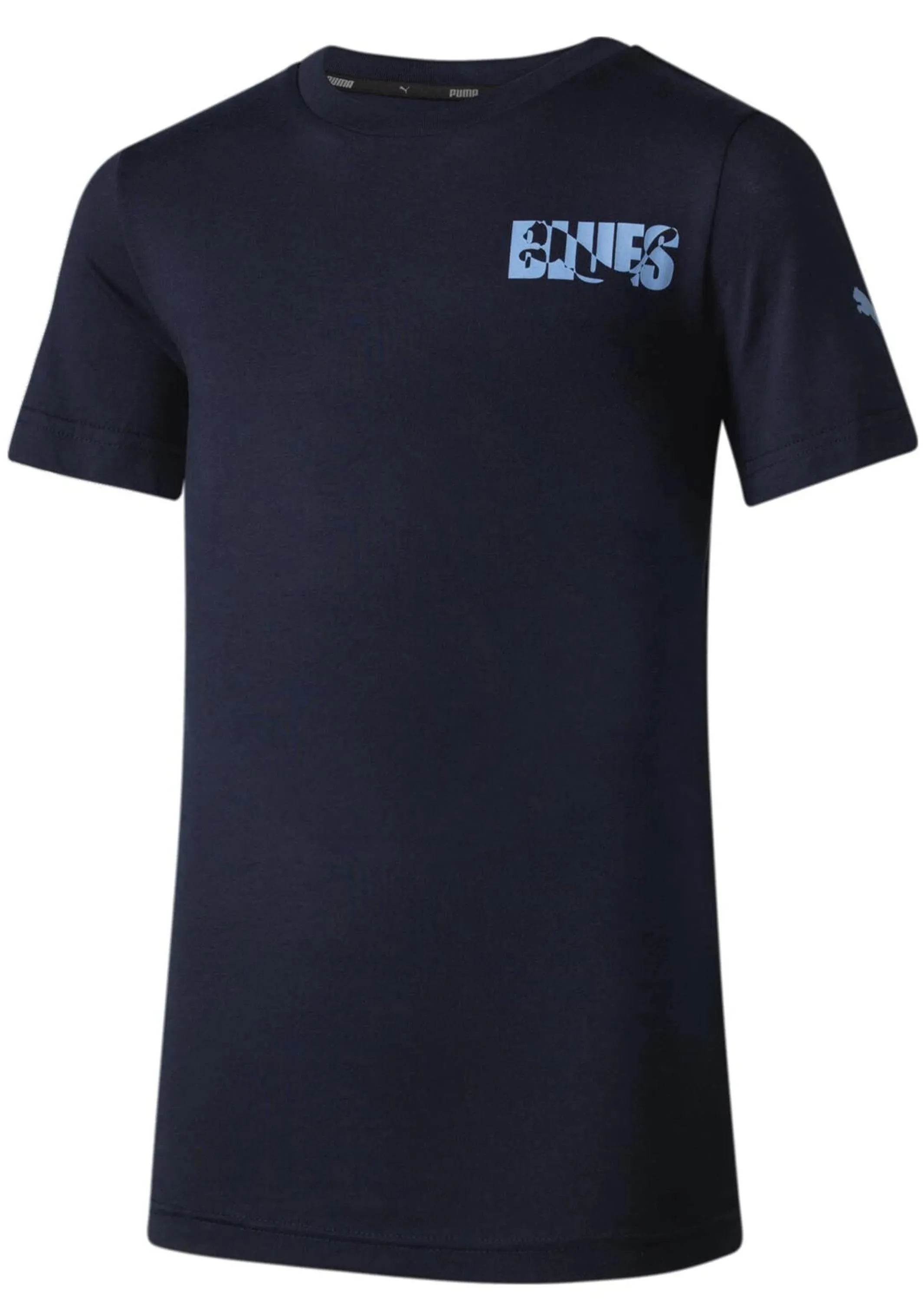 Puma Mens NSW Blues Graphic Tee <br> 769238 01